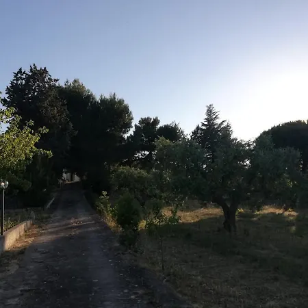 Ciao 3* Selva Di Fasano