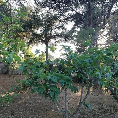 Ciao Bed & Breakfast Selva Di Fasano