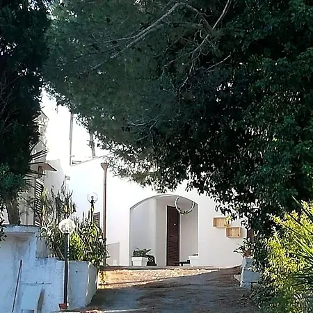 Bed & Breakfast Ciao Selva Di Fasano