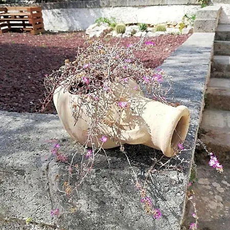Ciao Selva Di Fasano
