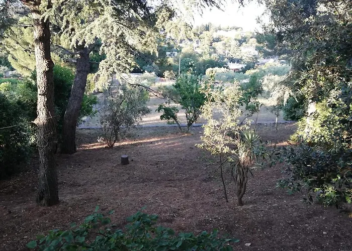 Ciao Selva Di Fasano